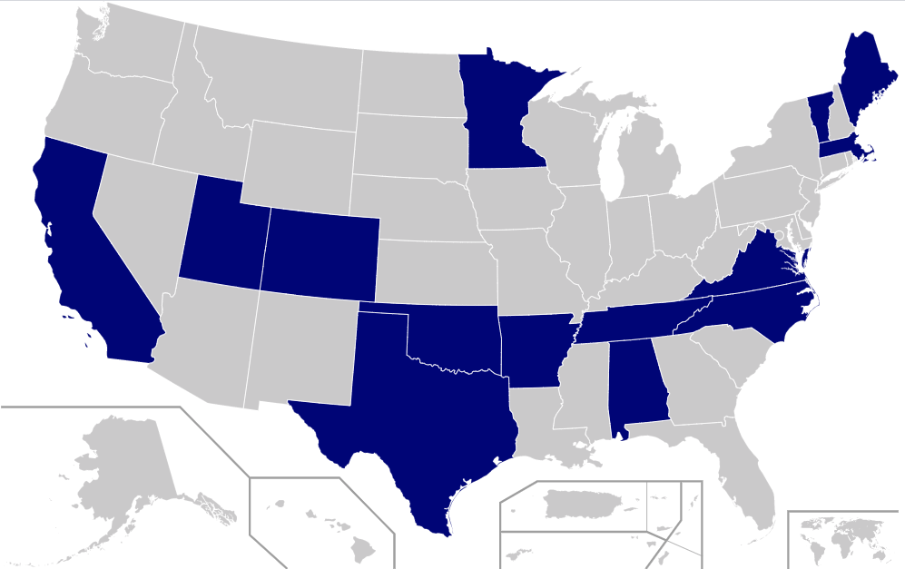 2020 Super Tuesday Early Voting Debacle